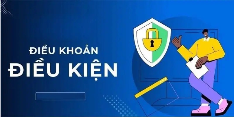 Điều khoản điều kiện trình bày thông tin 